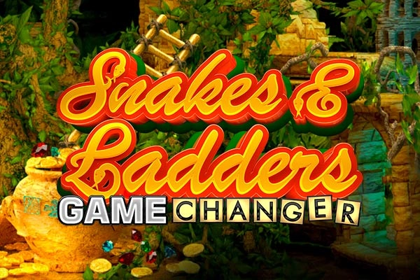 19132 snakes and ladders game changer